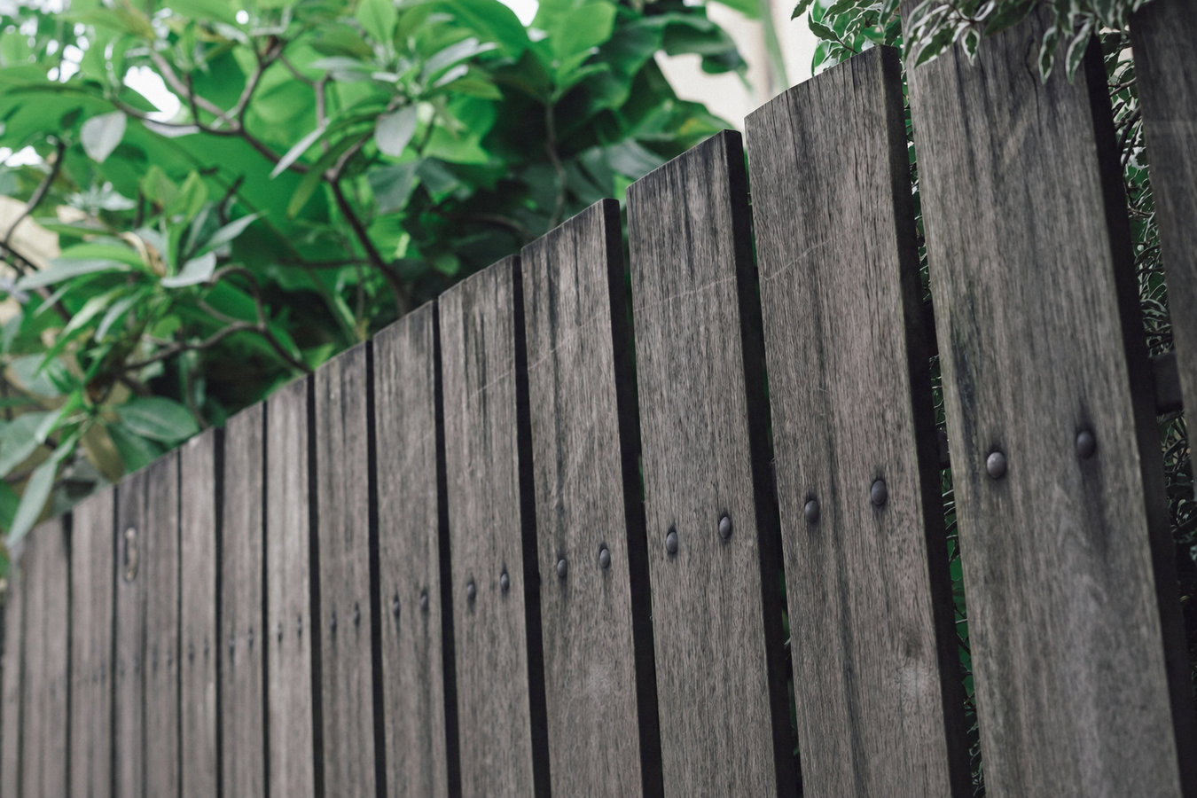 Fence replacement